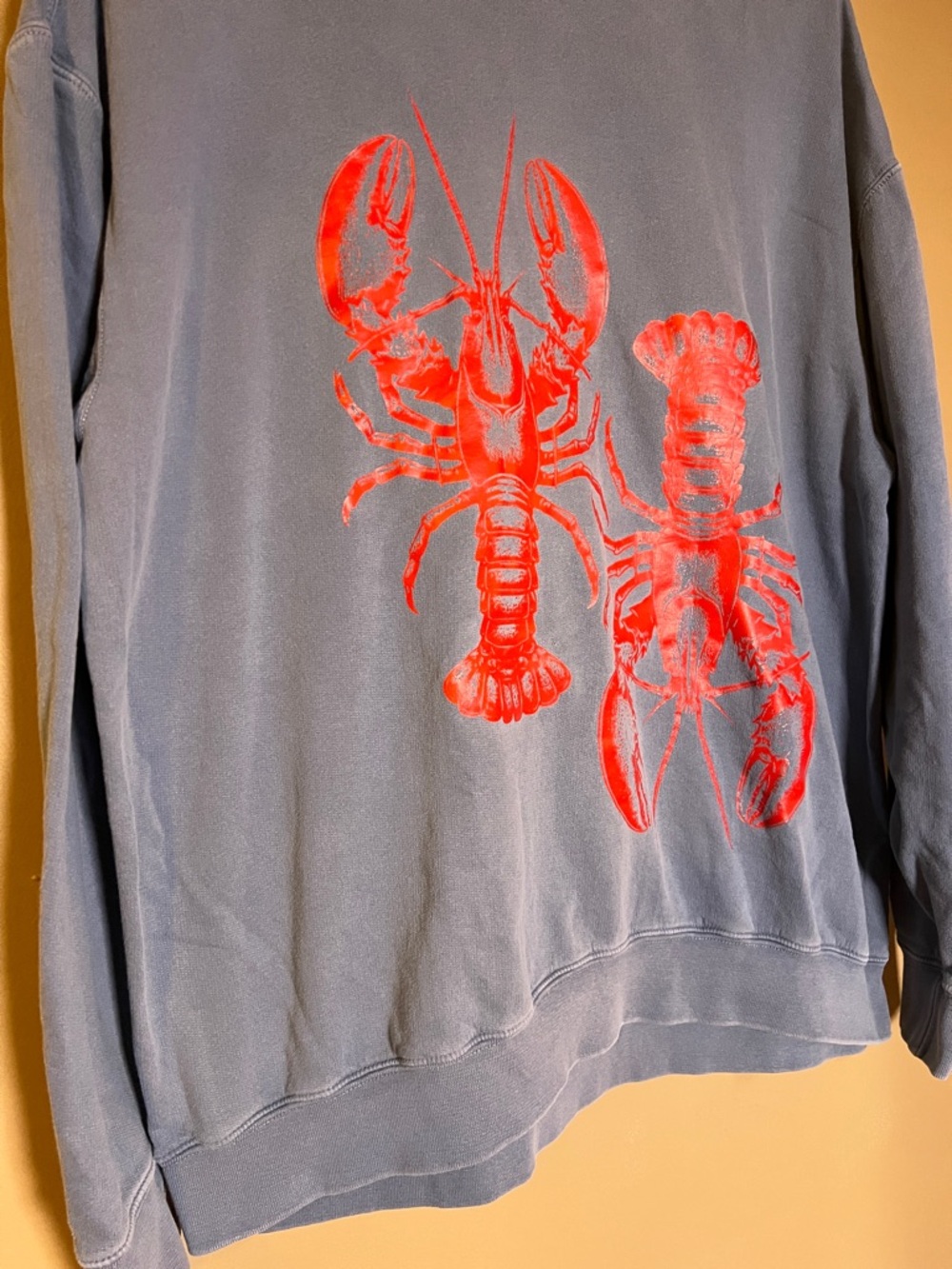 Comfort Colors Distressed Blue Sweatshirt with Red Lobster Print Oversized Fit - Picture 2 of 16